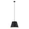 Z-Lite Lilly Pendant, 1-Light, 24 In.W x 18 In.H, Matte Black/Matte Black 2307-24MB - alternate 5